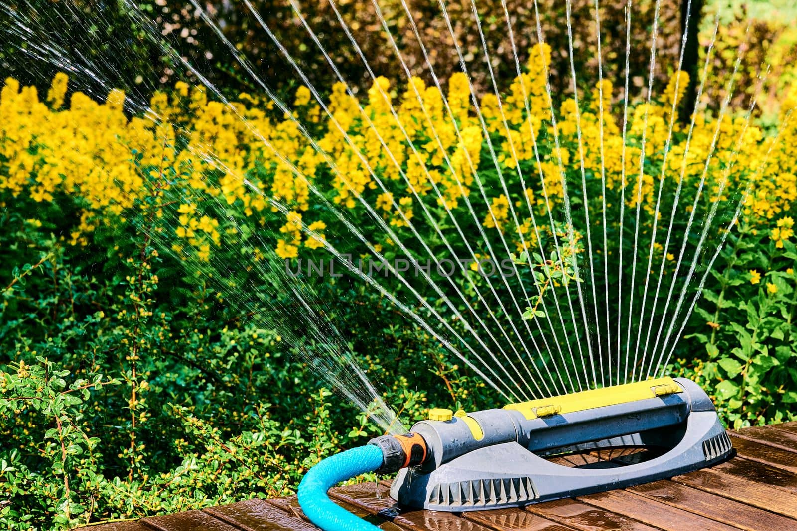 the supply of water to land or crops to help growth, typically by means of channels. Irrigation system, sprinkler watering flowers on a hot day in a city park.