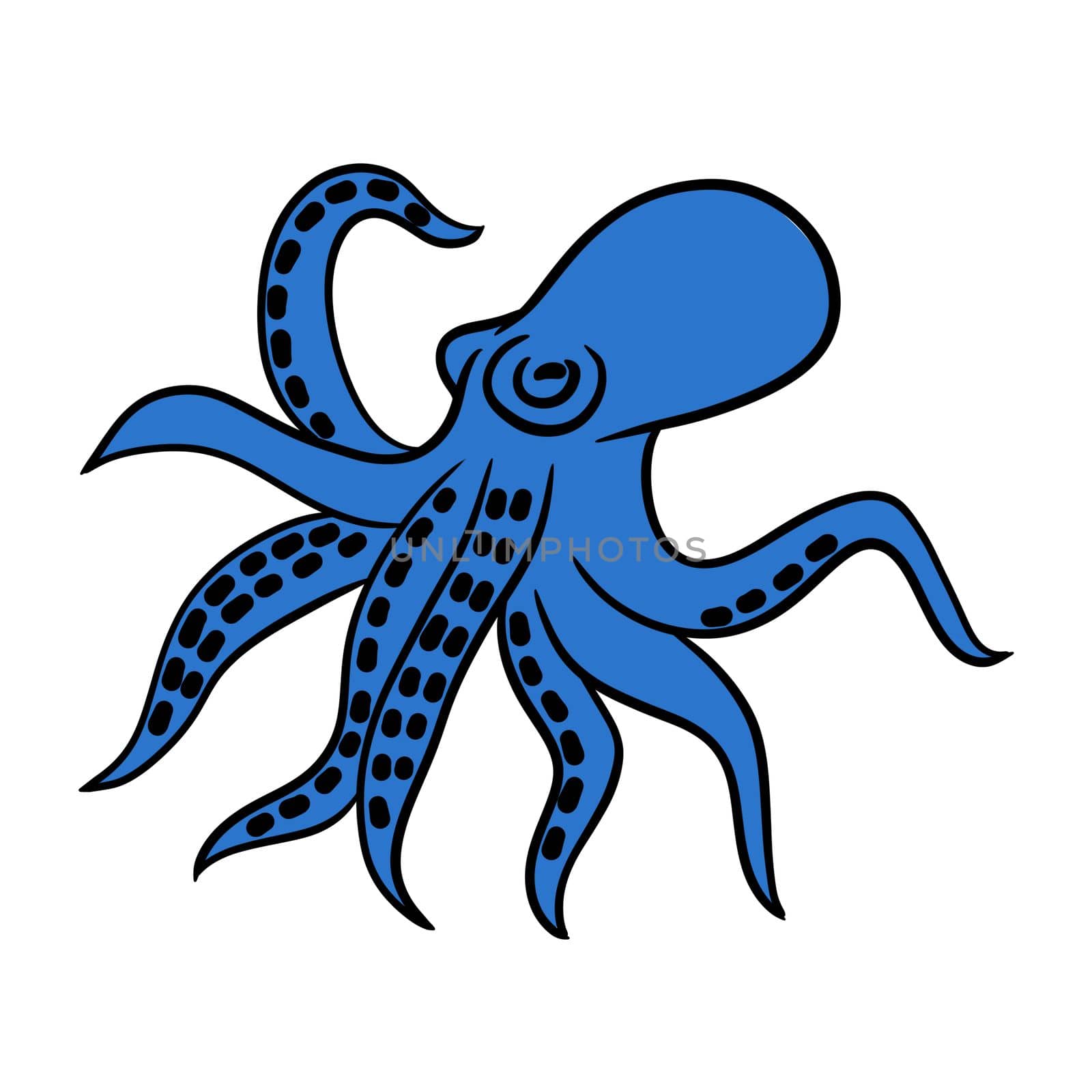 Hand drawn illustration of sea ocean blue octopus with tentacles. Simple cartoon drawing of wild sea creature animal species, marine underwater life, nautical design, aquatic sketch squid tattoo. by Lagmar