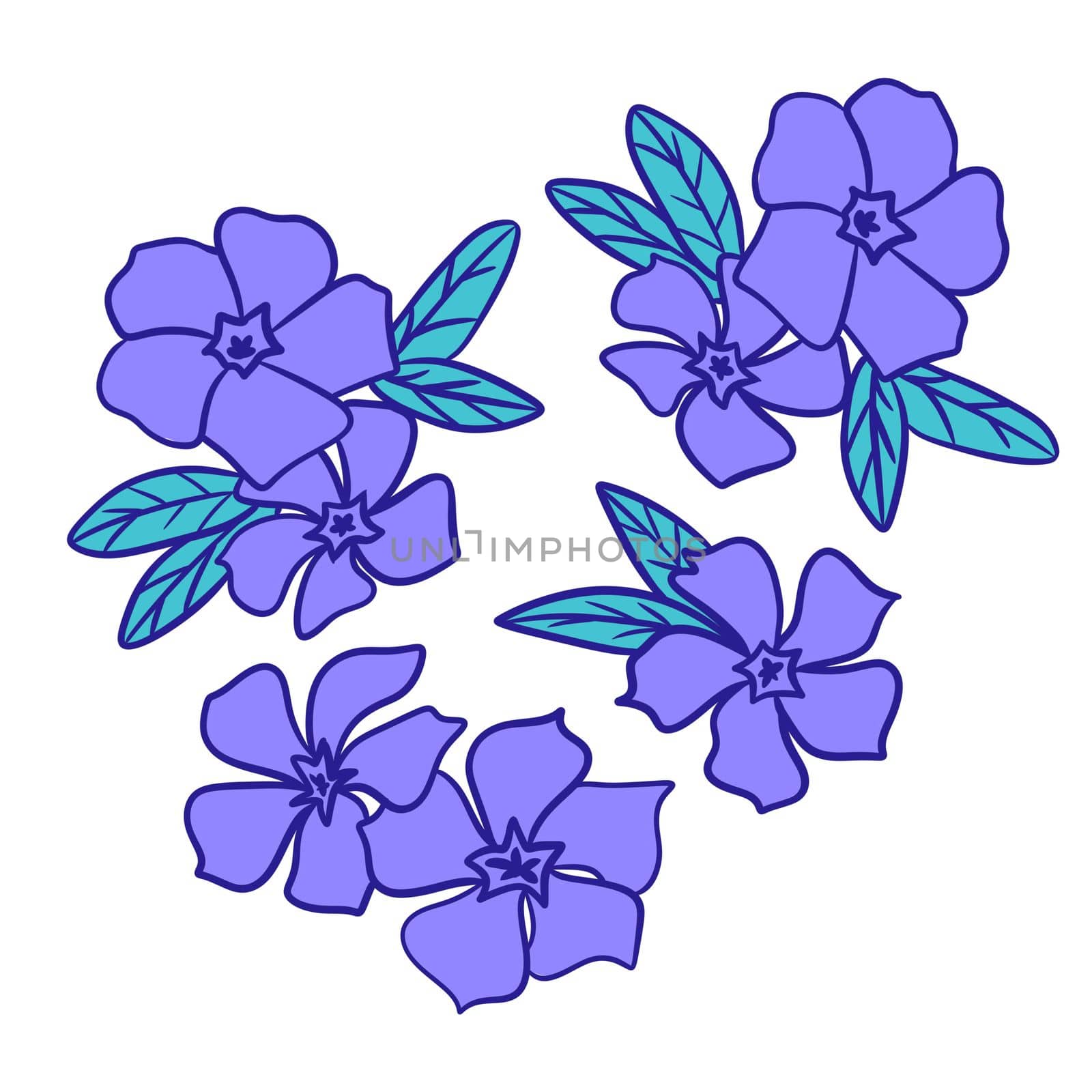 Hand drawn illustration of periwinkle blue violet flowers with green leaves. Natural wild forest flowers in floral decorative style, wood woodland nature plant, bloom blossom drawing leaf foliage