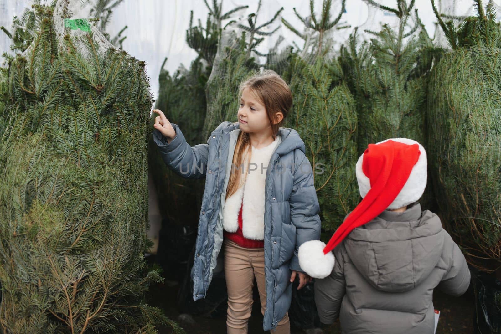 Children choose a Christmas tree at a market.