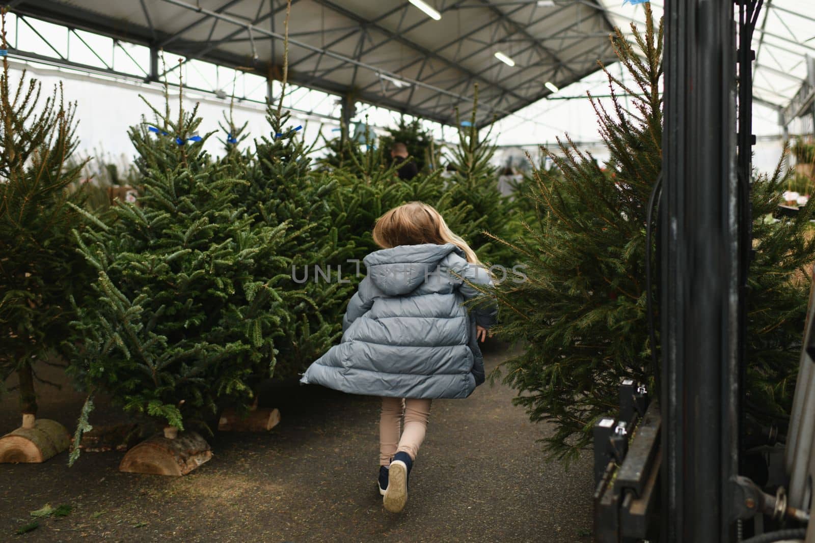 A girl chooses a Christmas tree in the market.