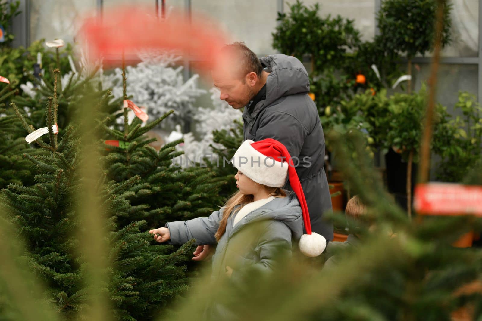 Father and children choose a Christmas tree at a market. by Godi
