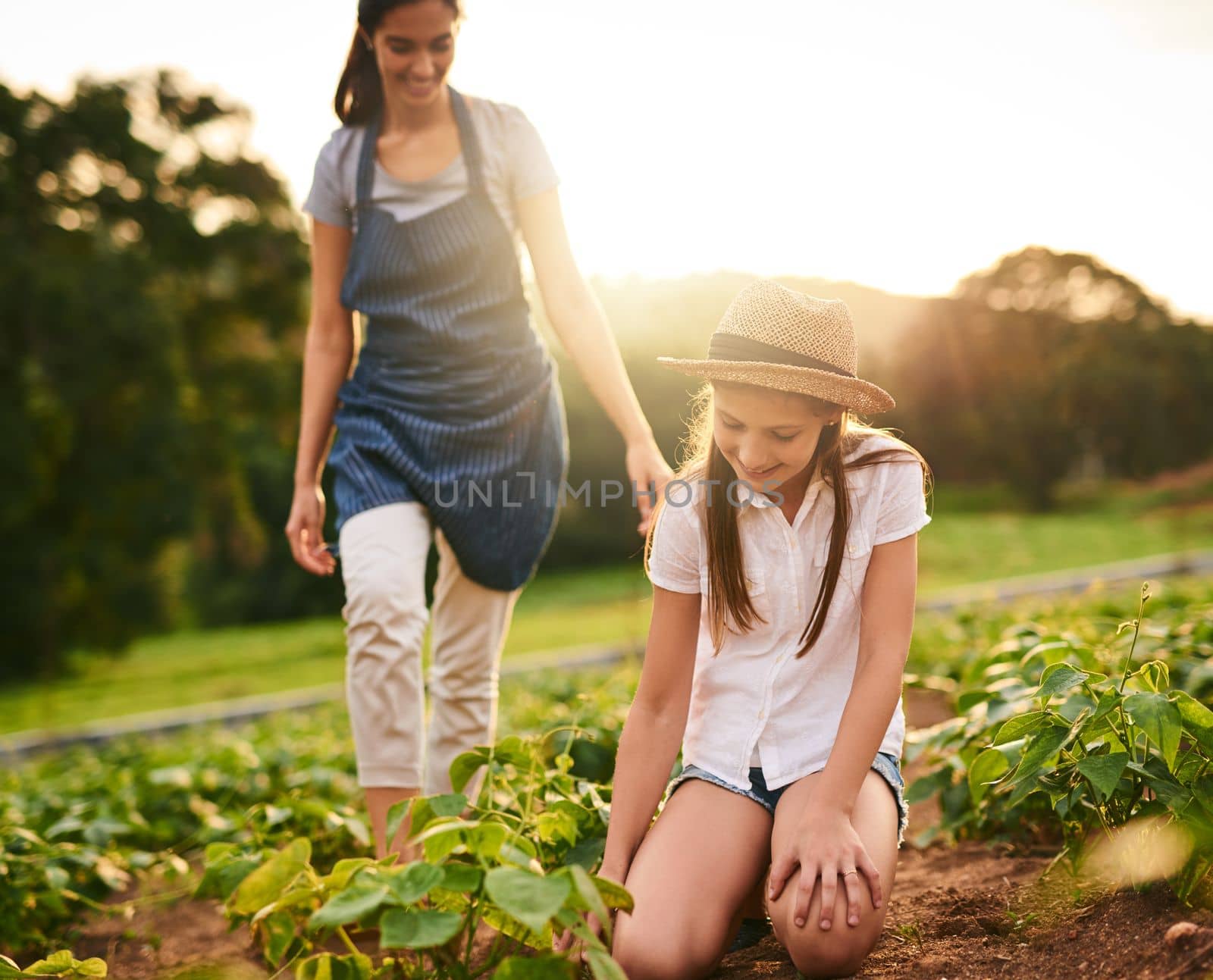Its a family tradition. a young girl working on the family farm with her mother in the background