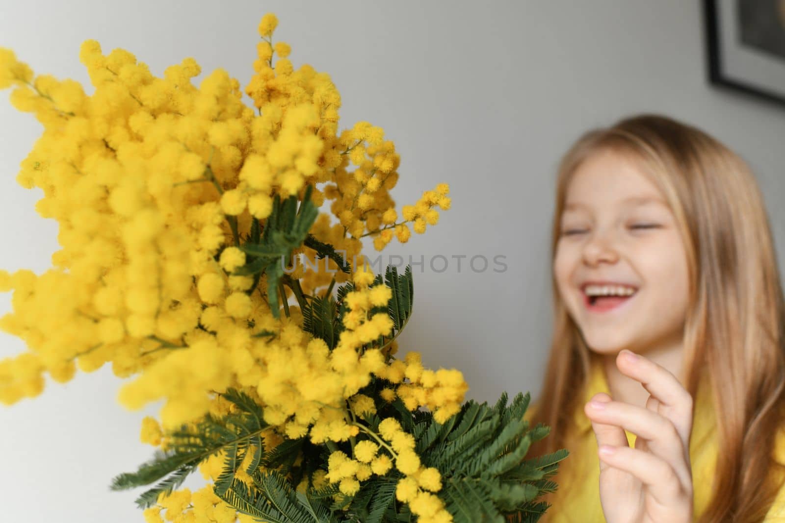 A girl smelling mimosa at spring