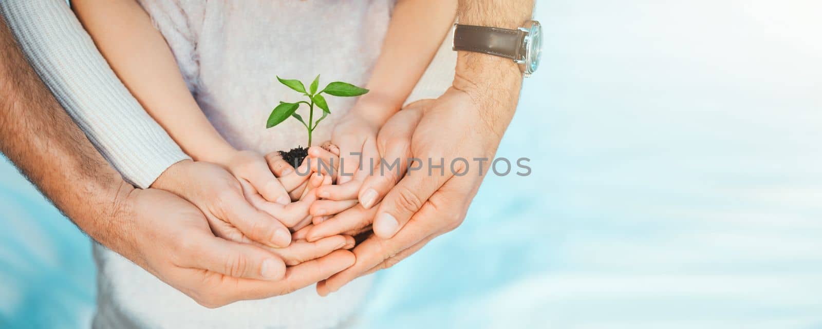 A family that supports one another thrives. a unrecognizable family holding plants growing out of soil. by YuriArcurs