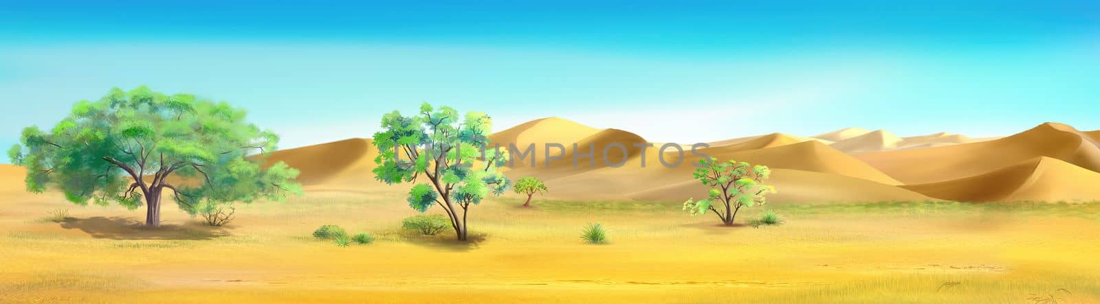 Trees on the edge of the desert illustration by Multipedia