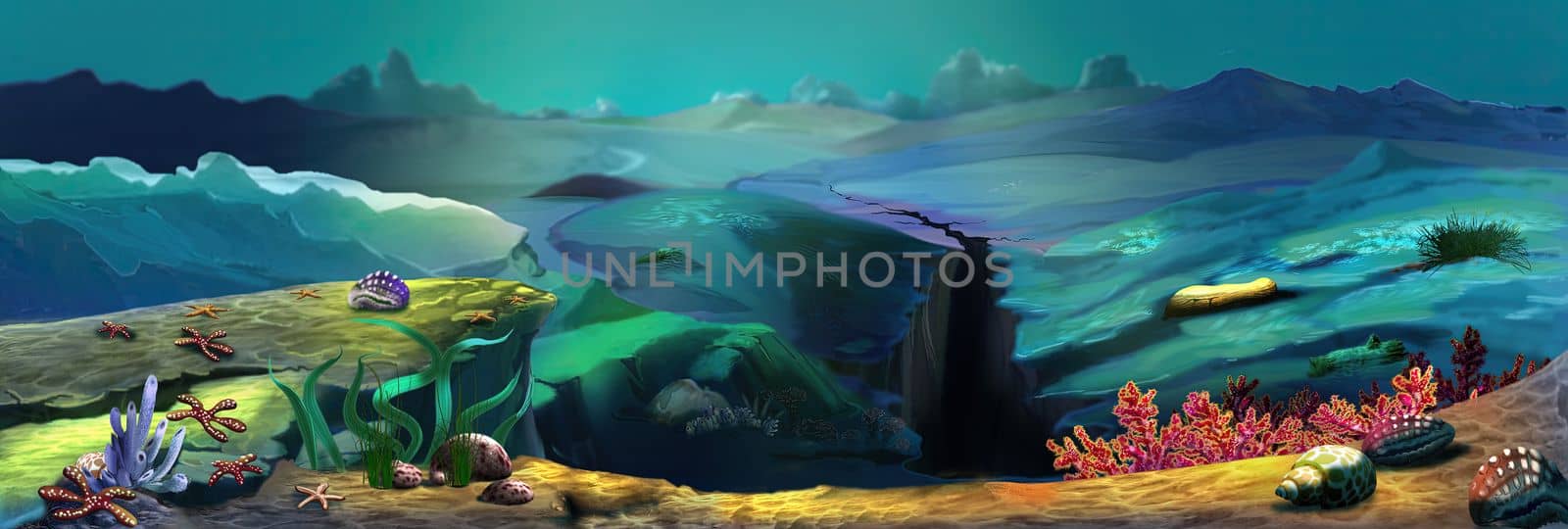 Ocean floor with seaweed and corals illustration by Multipedia