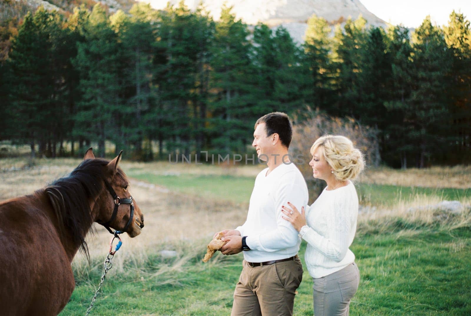 Man and woman with bread in their hands stand near a horse on a green lawn. High quality photo