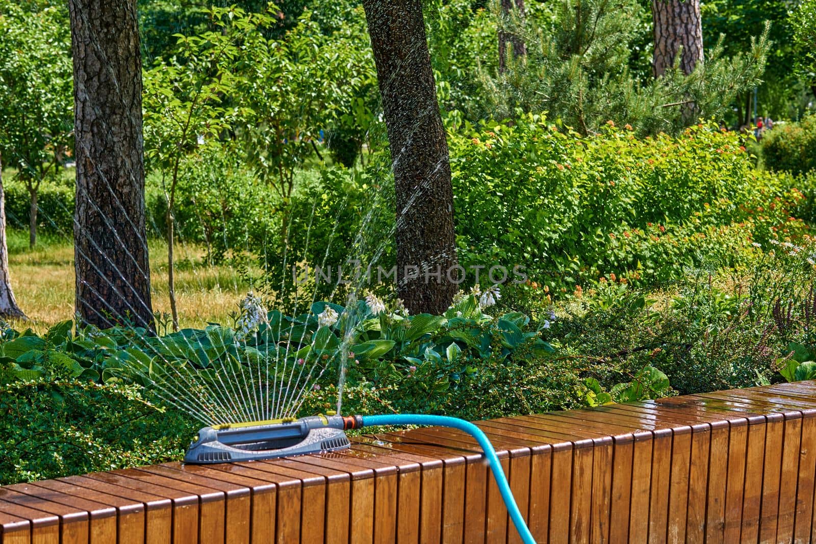 the supply of water to land or crops to help growth, typically by means of channels. Irrigation system, sprinkler watering flowers on a hot day in a city park.