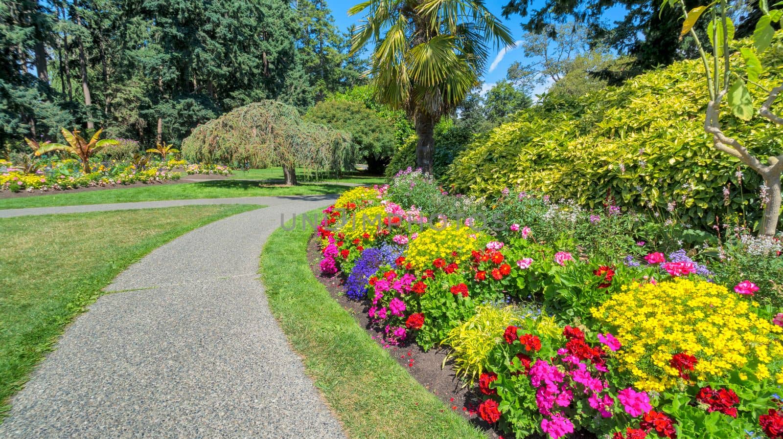 Green wide open meadow in a park with paved pathway and blossoming flowers along the way. Victoria, British Columbia