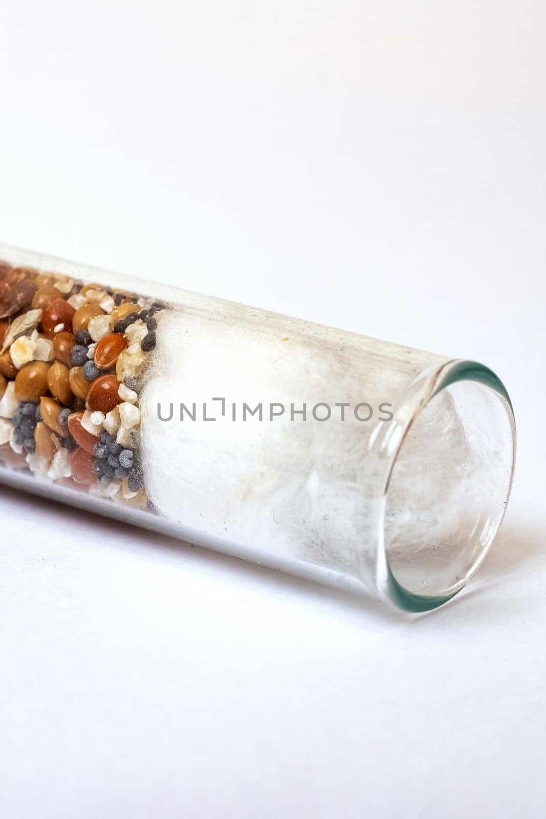 Different seeds in a test tube on a white background close up