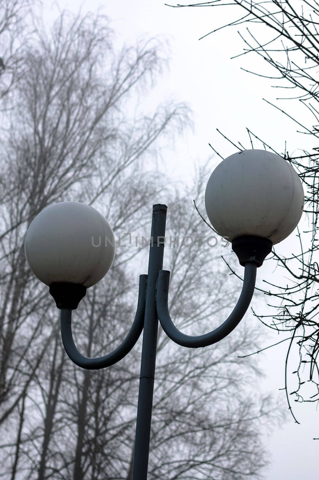 Street lamp on the background of tree branches in the fog