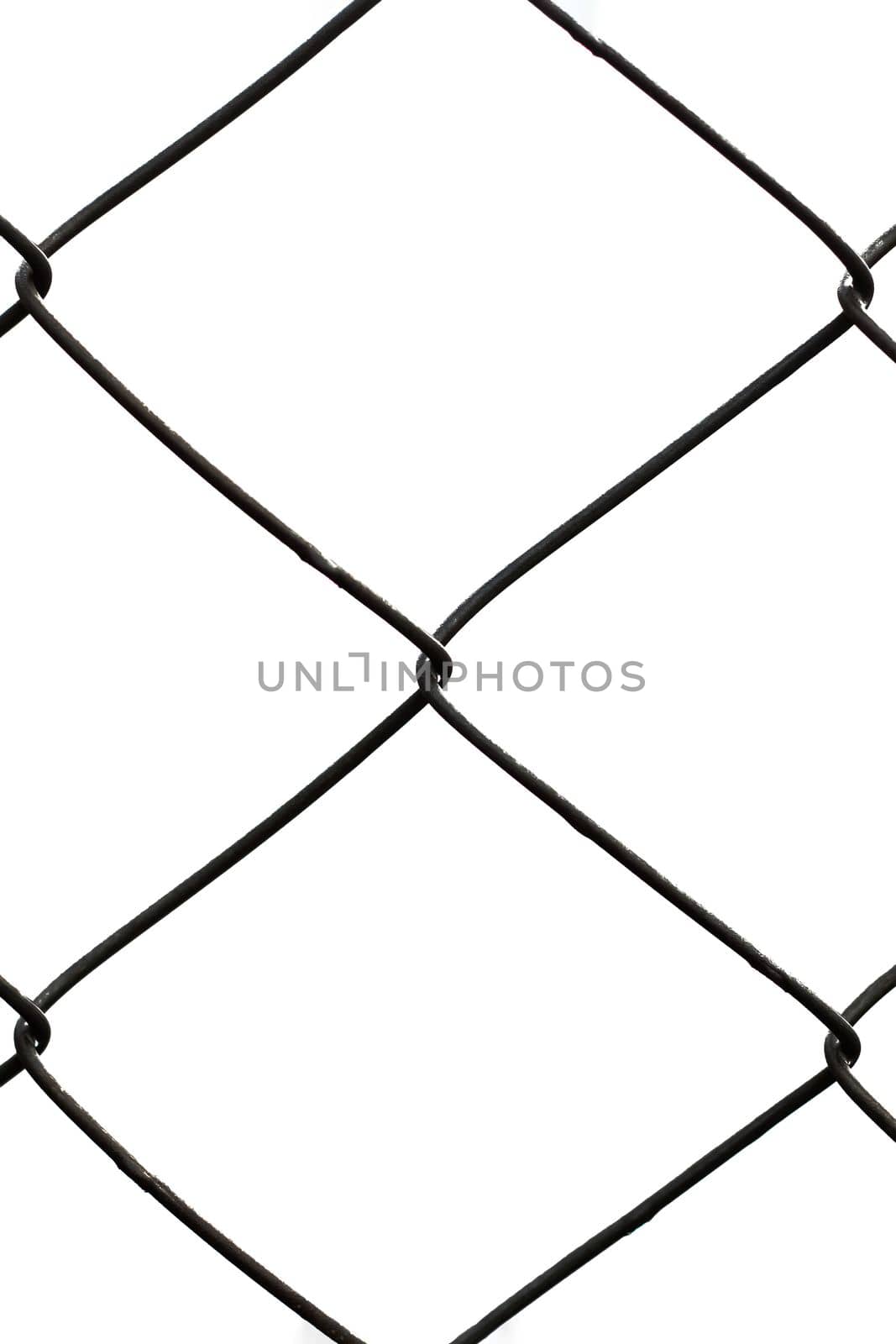 Metal mesh fence isolated on a white background close up