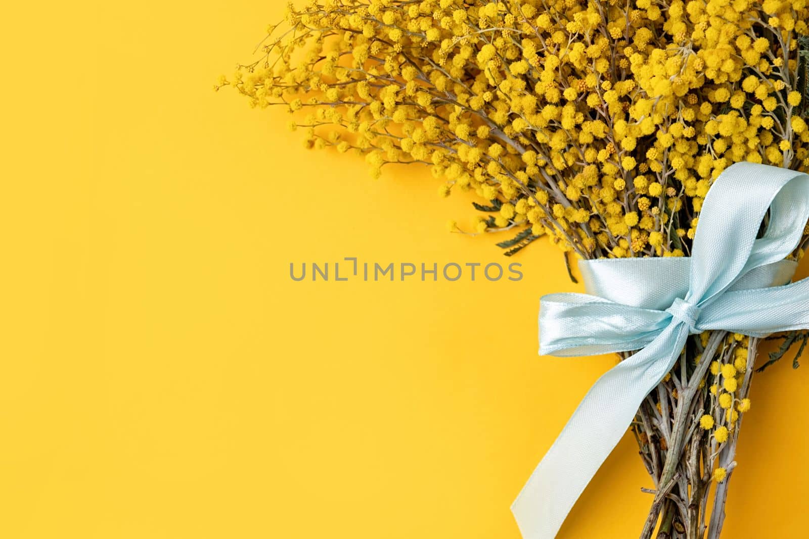 Frame of yellow mimosa flowers bouquet on yellow solid bakground. Spring concept. Flat lay. Top view, banner