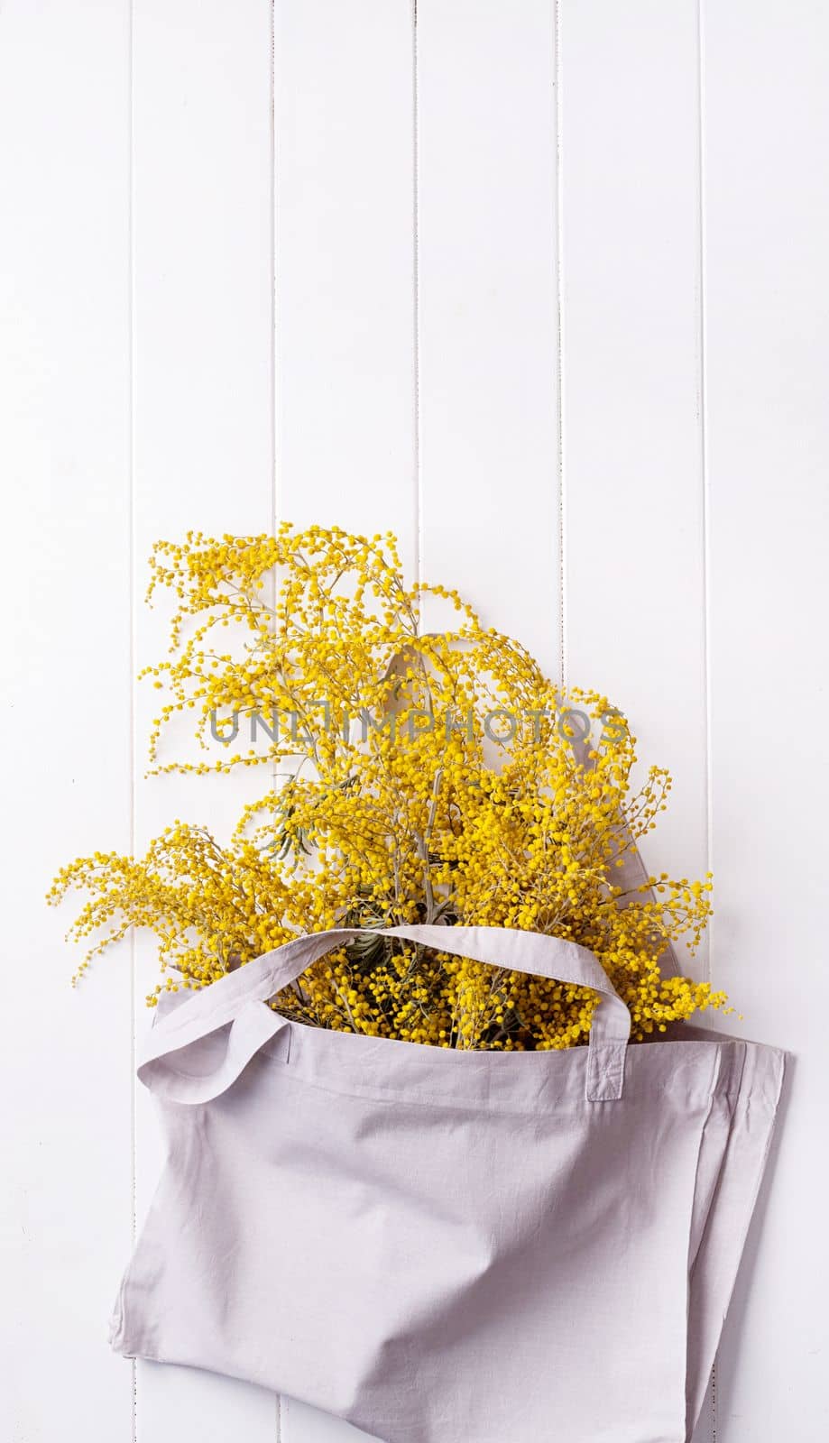 yellow mimosa flowers bouquet in shopping bag on wooden bakground by Desperada