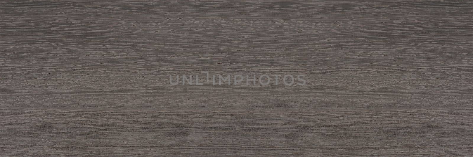 Texture of exotic wood. Close-up of the texture of lati wood, the structure of the breed of the aurican tree lati silver ash color by SERSOL