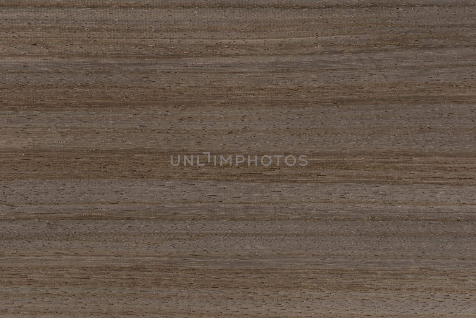 Texture of wood with stripes. Texture of natural African wood with zebra pattern. High resolution photo of a brown black board. by SERSOL