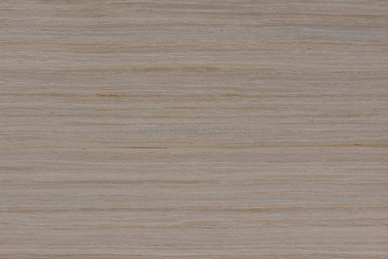 Texture of oak. Texture of natural solid wood. Oak board with a white tint, bleached wood for the production of furniture, floors or doors. by SERSOL