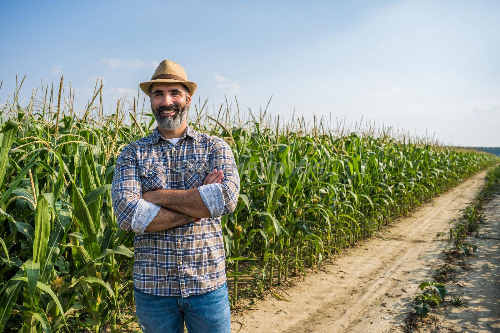 Proud farmer is standing in his growing corn field. He is satisfied because of successful season.