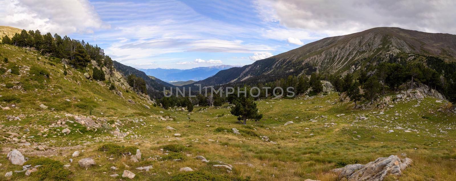 Summer landscape in La Cerdanya, Pyrenees mountain, Catalonia, Spain. by Digoarpi