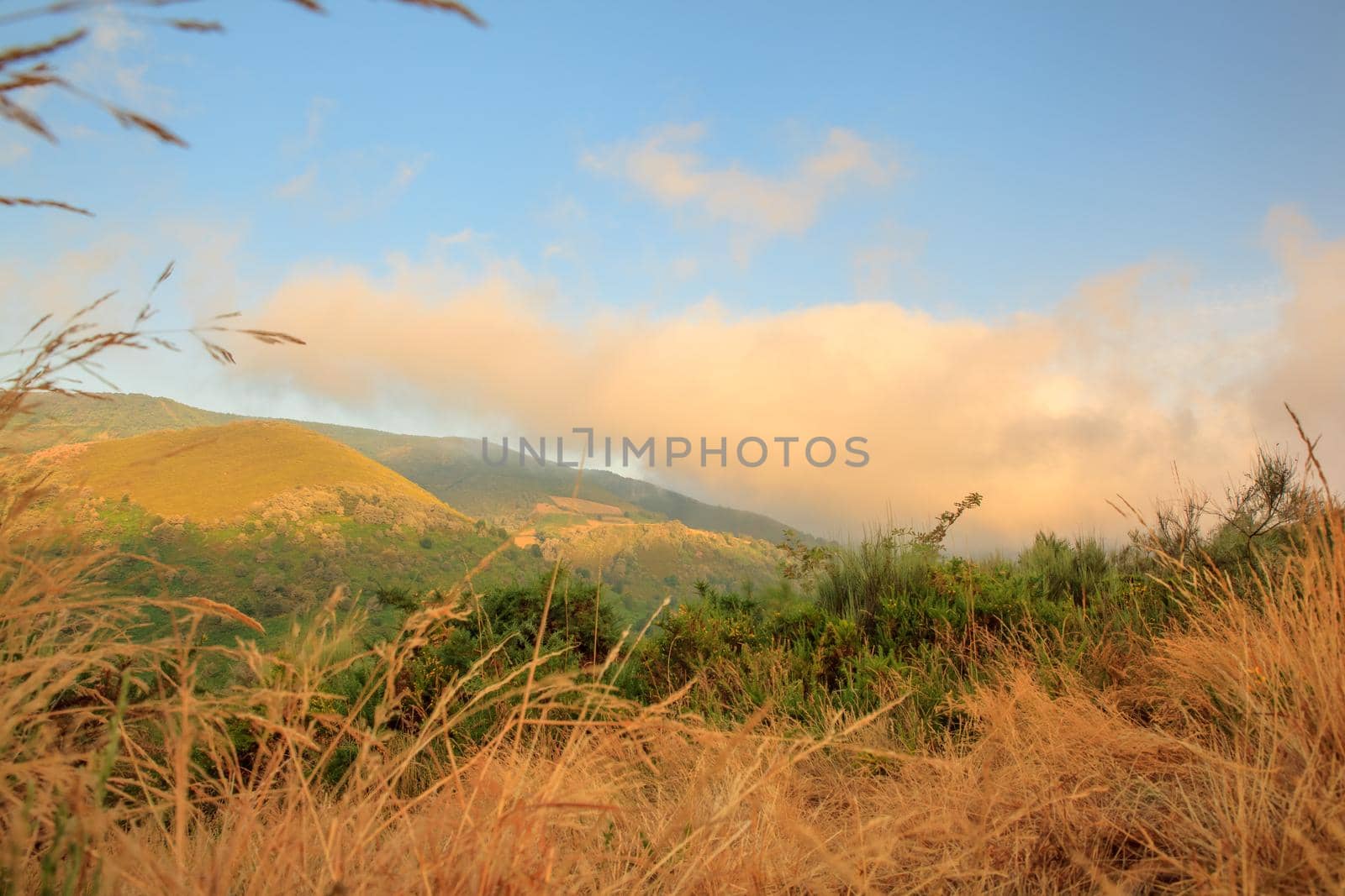 View of Galicia landscape along the way of St. James