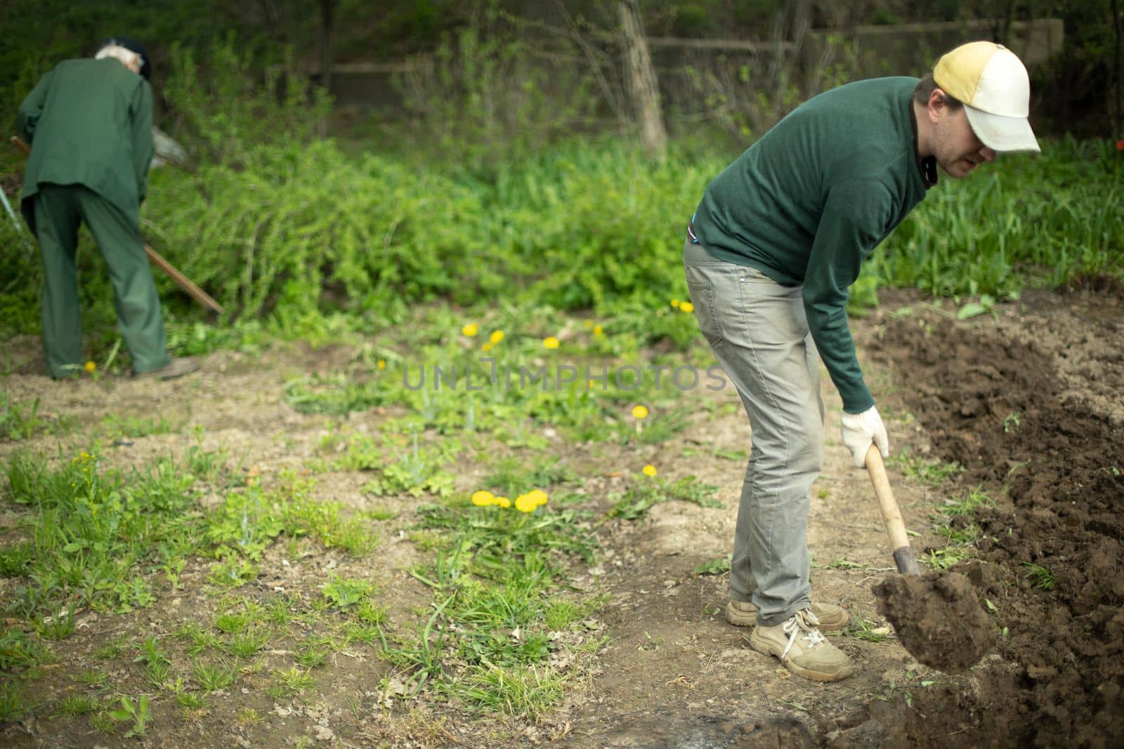 Guy digs soil with shovel. Planting plants in garden. by OlegKopyov