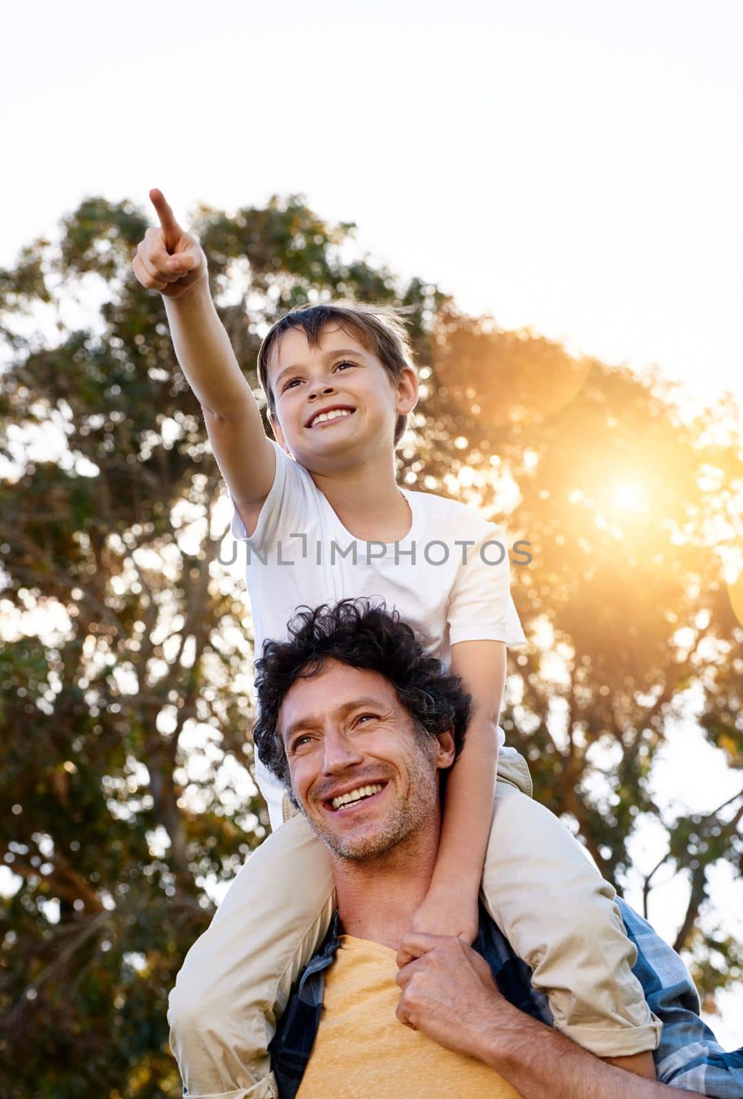 Dad, do you see that. a happy boy pointing at something while being carried by his father outdoors. by YuriArcurs