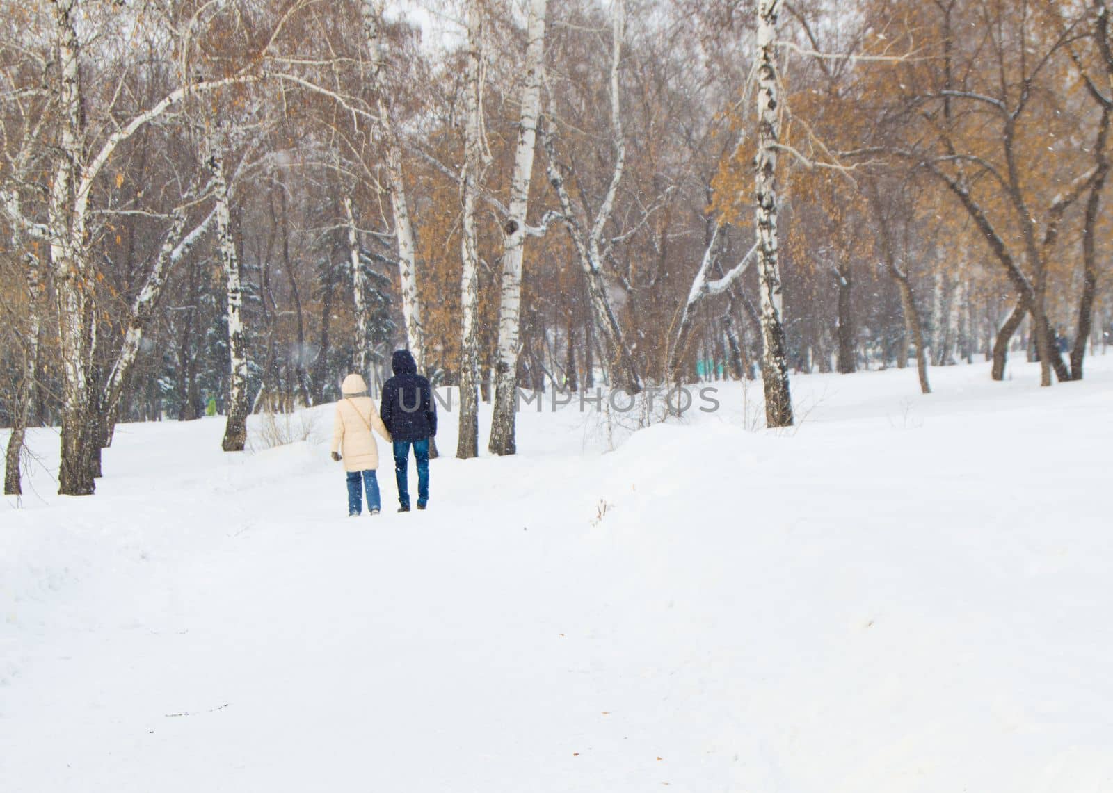 Man and woman walking in winter Park during a snowfall by claire_lucia