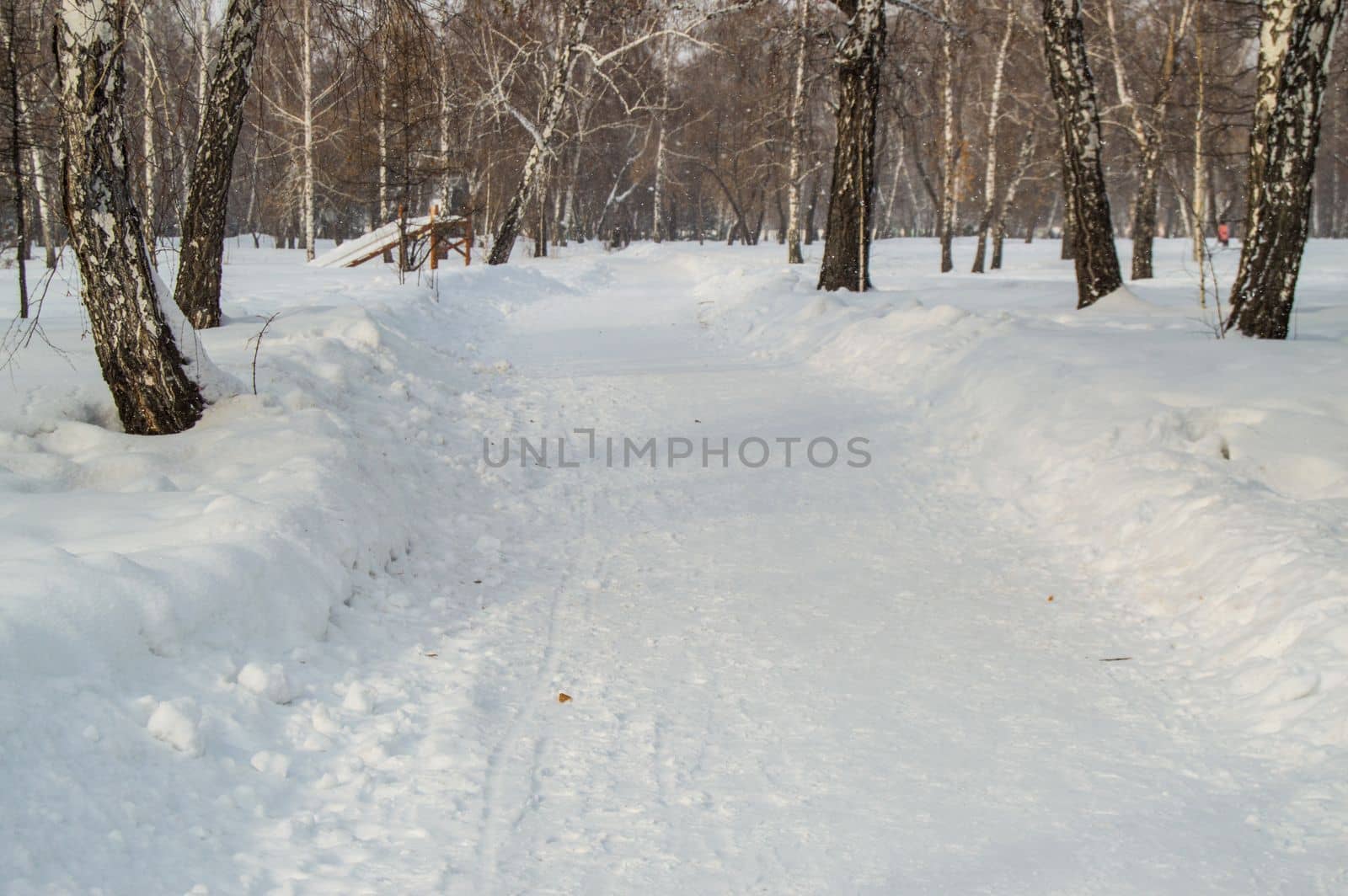 Winter alley in the Park, with trees on the side and snow drifts by claire_lucia