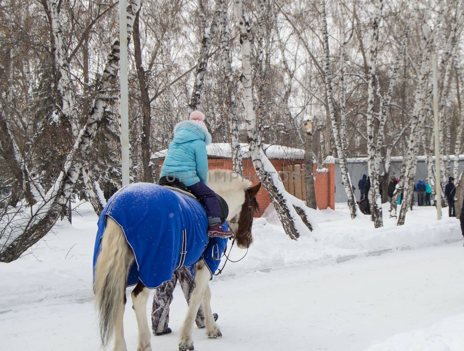 Little girl riding a horse in the winter in the Park, fun for children.