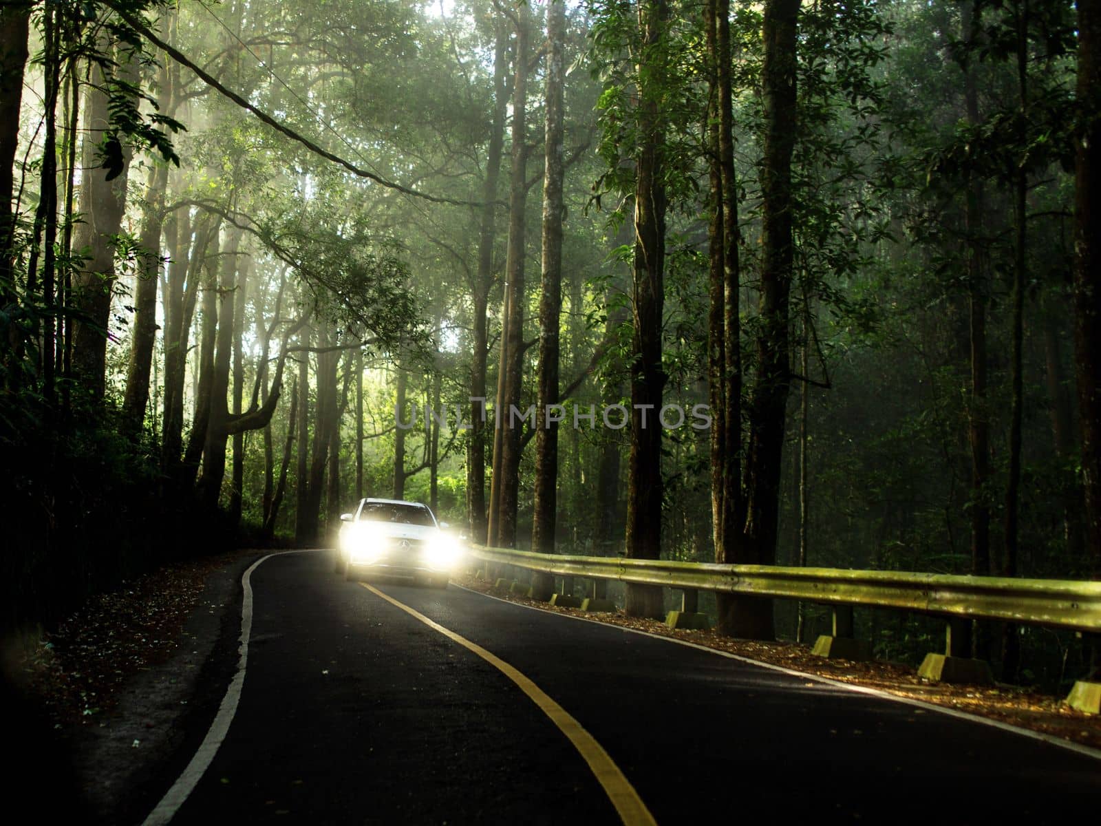 Mercedes on a beautiful road by Alexzhilkin