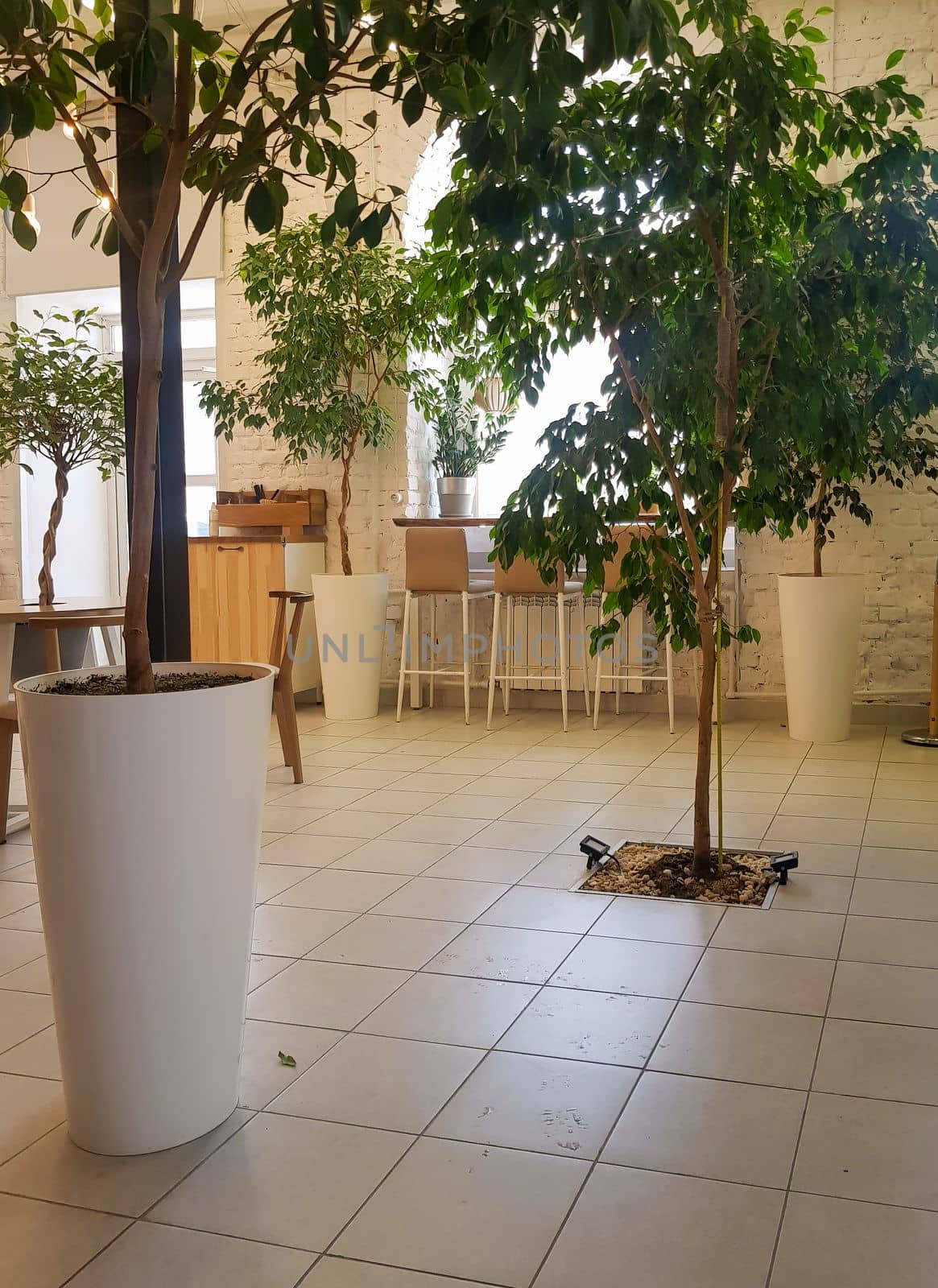 Cozy interior of a modern cafe with plants, chairs. A large pot with plants in the foreground of the vertical photo.