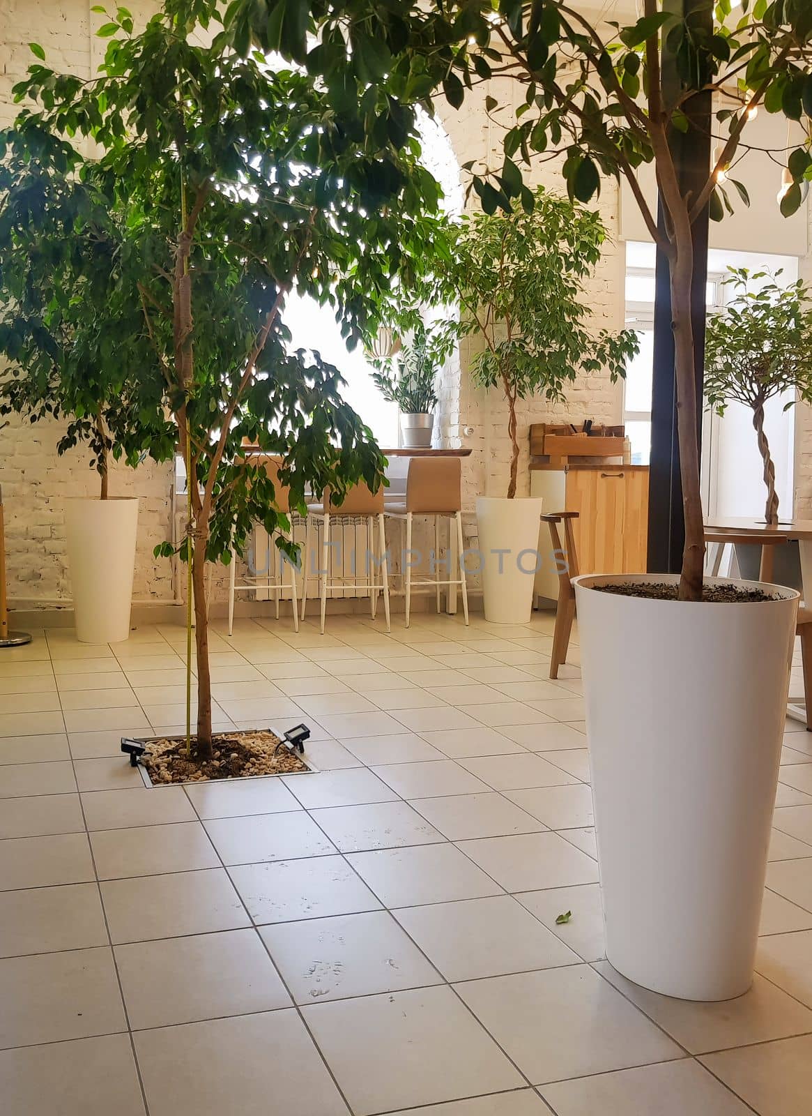 Cozy interior of a modern cafe with plants, chairs. A large pot with plants in the foreground of the vertical photo.