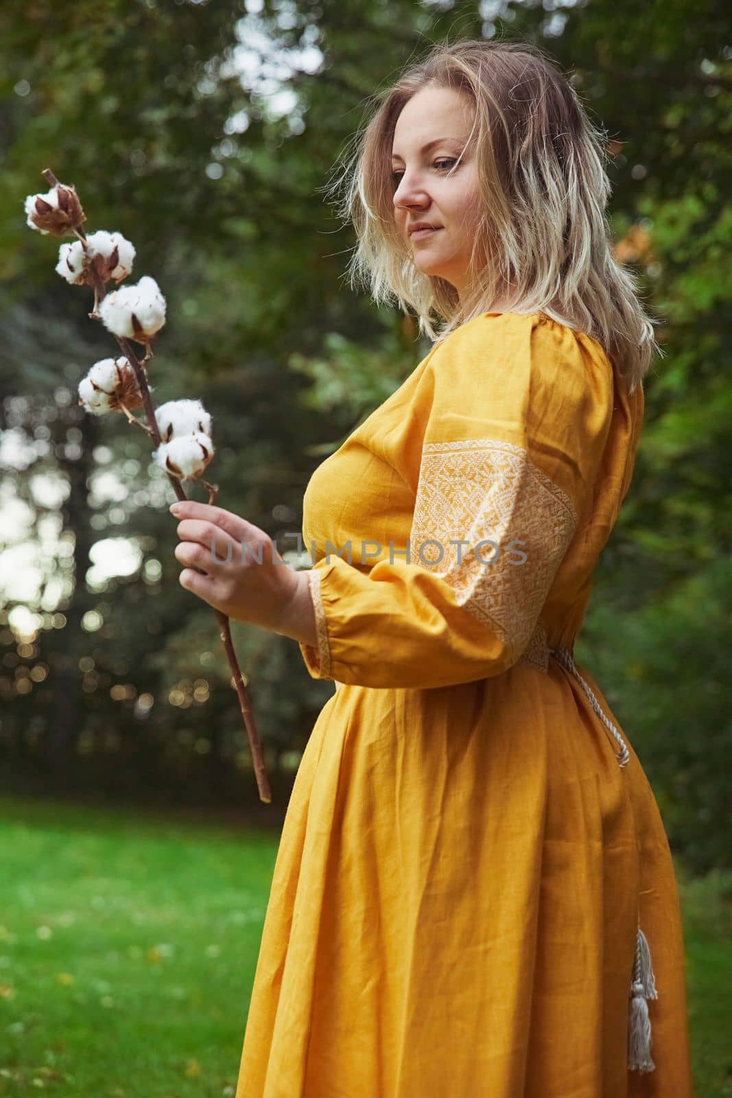 beautiful Ukrainian woman in an embroidered dress holds a sprig of cotton