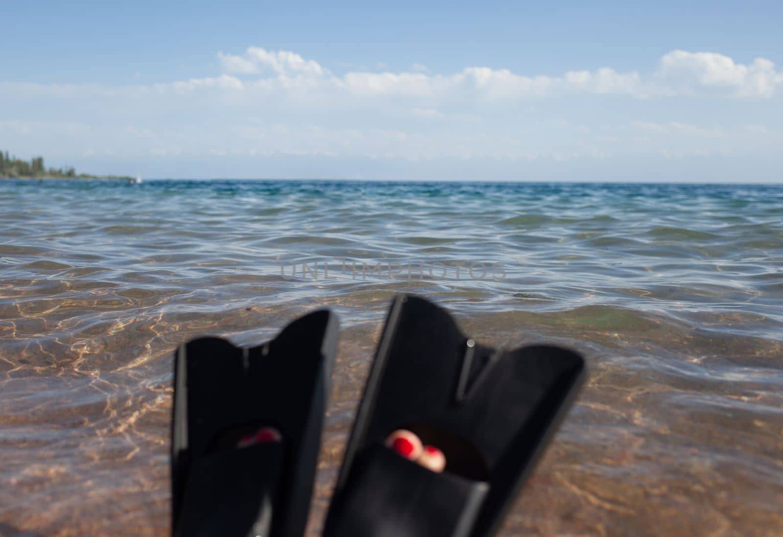 A woman in black flippers splashes near the shore. Fins stick out  by AnatoliiFoto