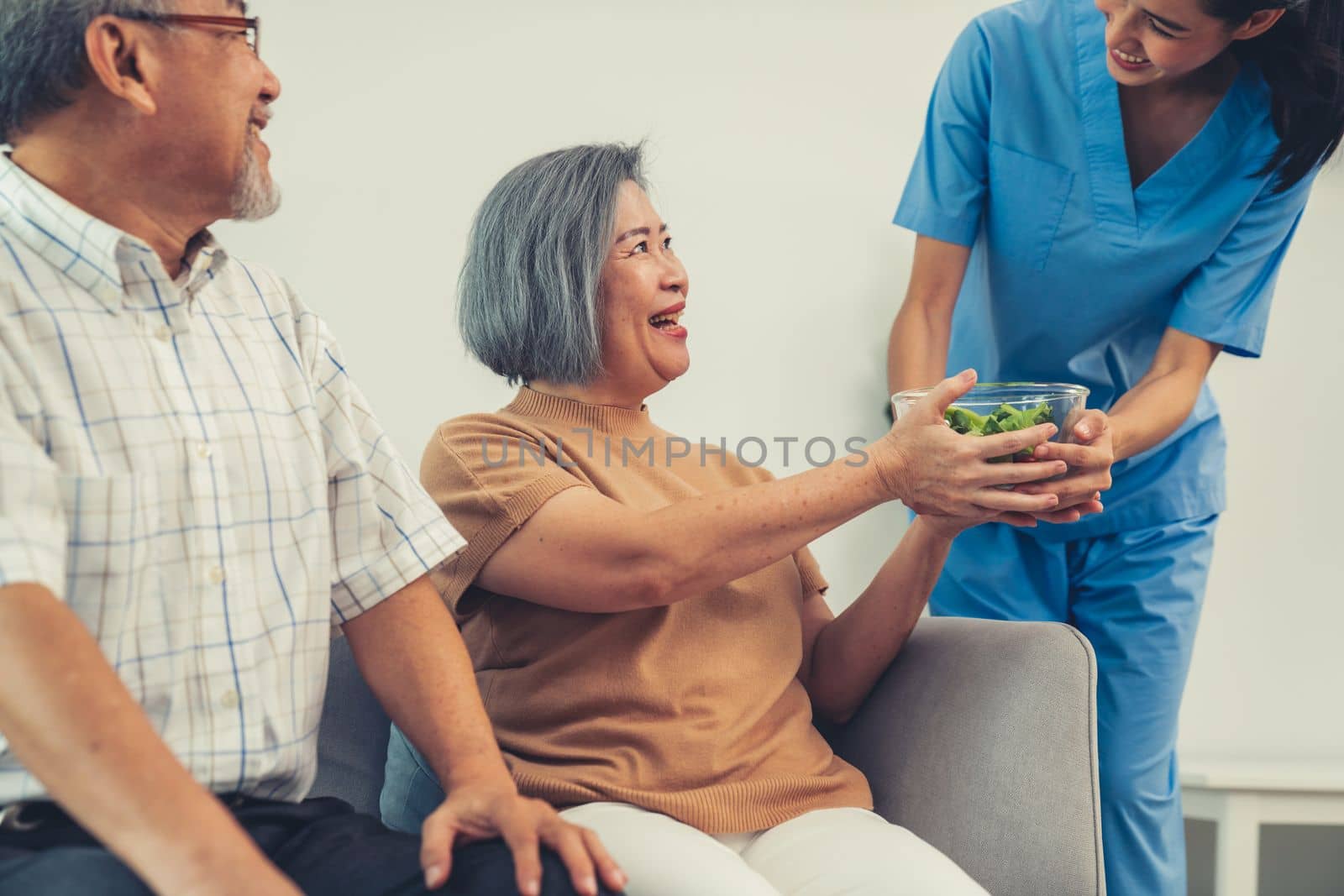 A female nurse serves a bowl of salad to a contented senior couple. Health care and medical assistance for the elderly, nursing home for pensioners.