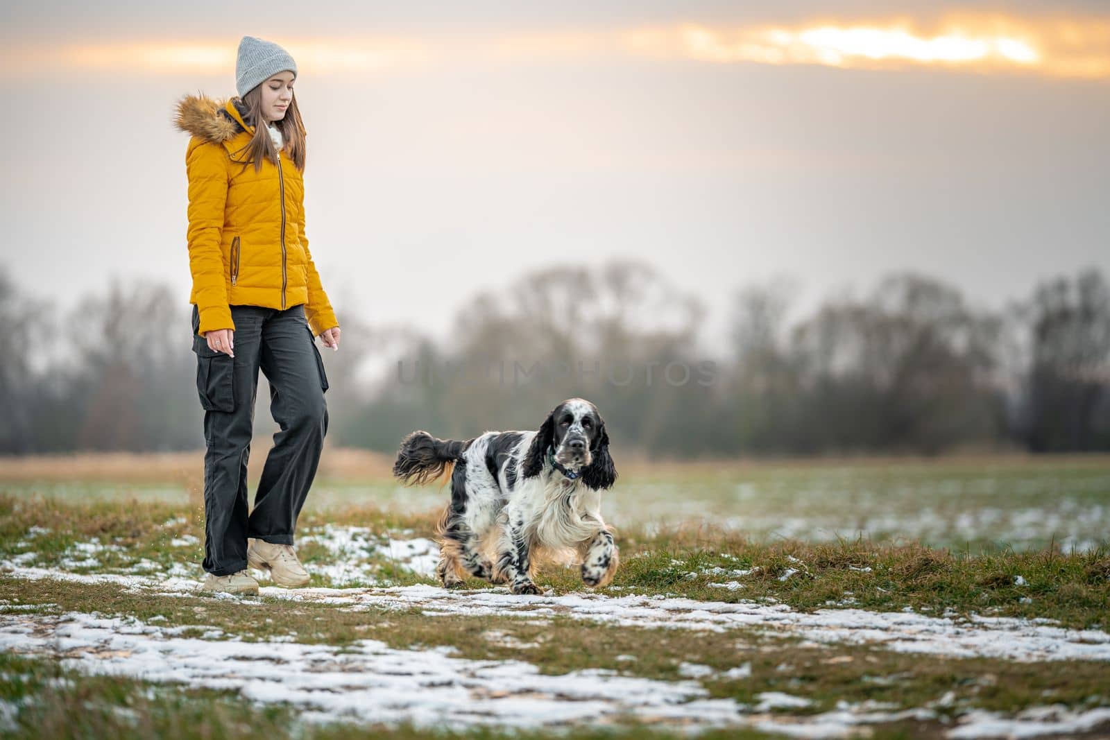 teenager with a dog on a walk in the park. english setter by Edophoto