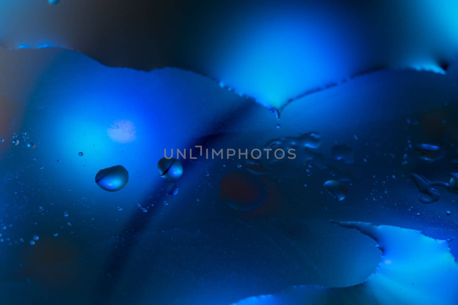 Circles of oil in water with a blue background abstract macro by exndiver