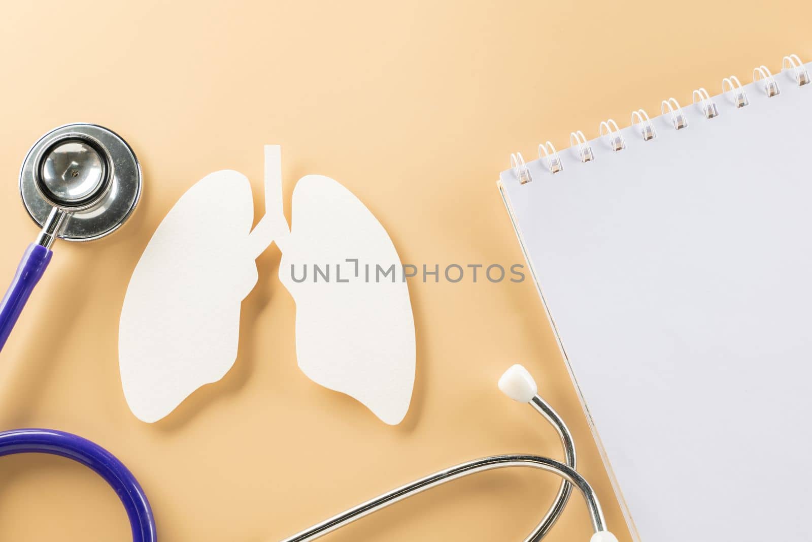 World Tuberculosis Day. Overhead lungs paper symbol and medical stethoscope on pastel background, lung cancer awareness, copy space concept of world TB day, banner background, pneumonia awareness