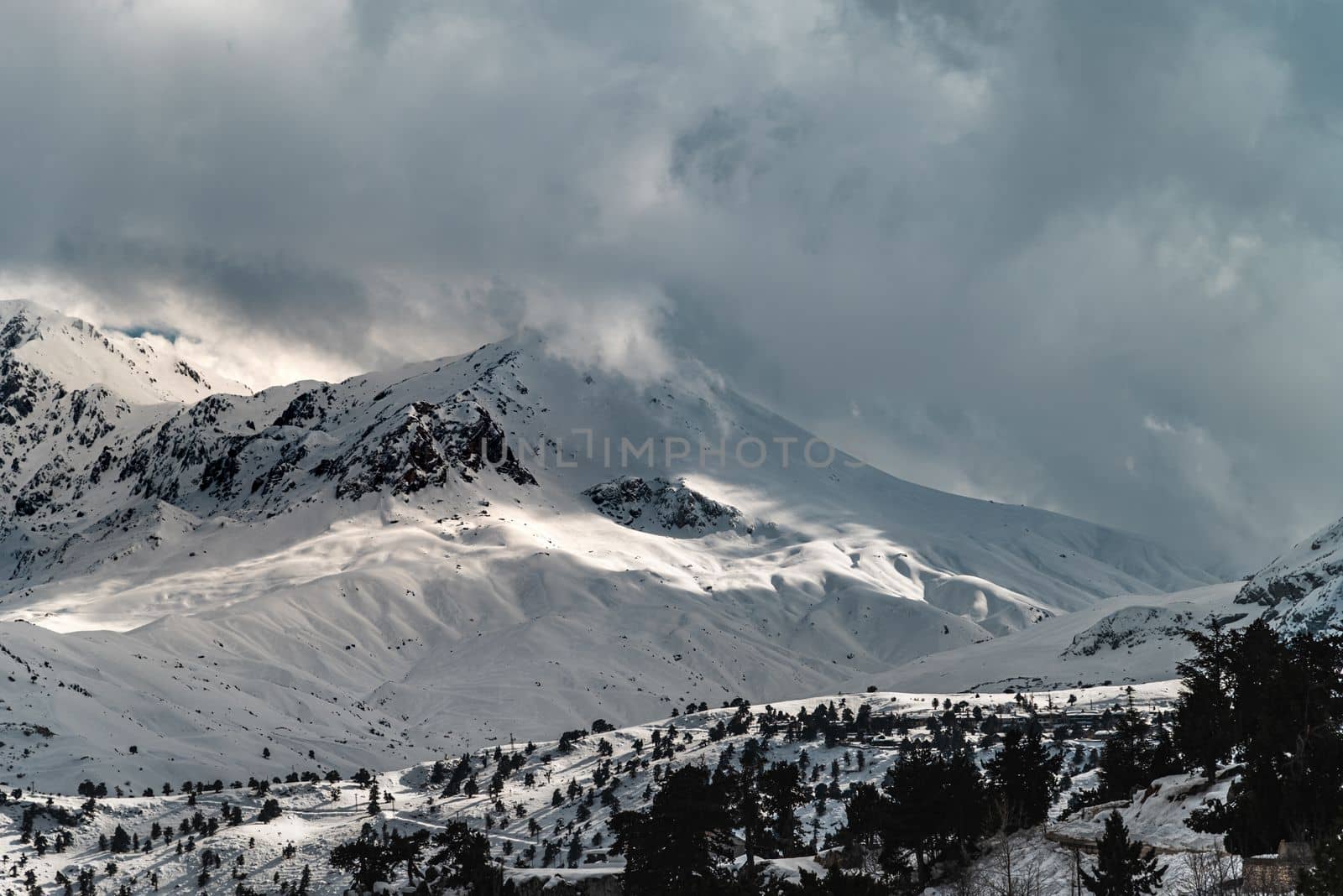 Forested snowy mountain landscape in the foothills on a sunny day