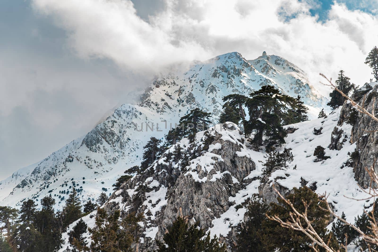 Forested snowy mountain landscape in the foothills on a sunny day