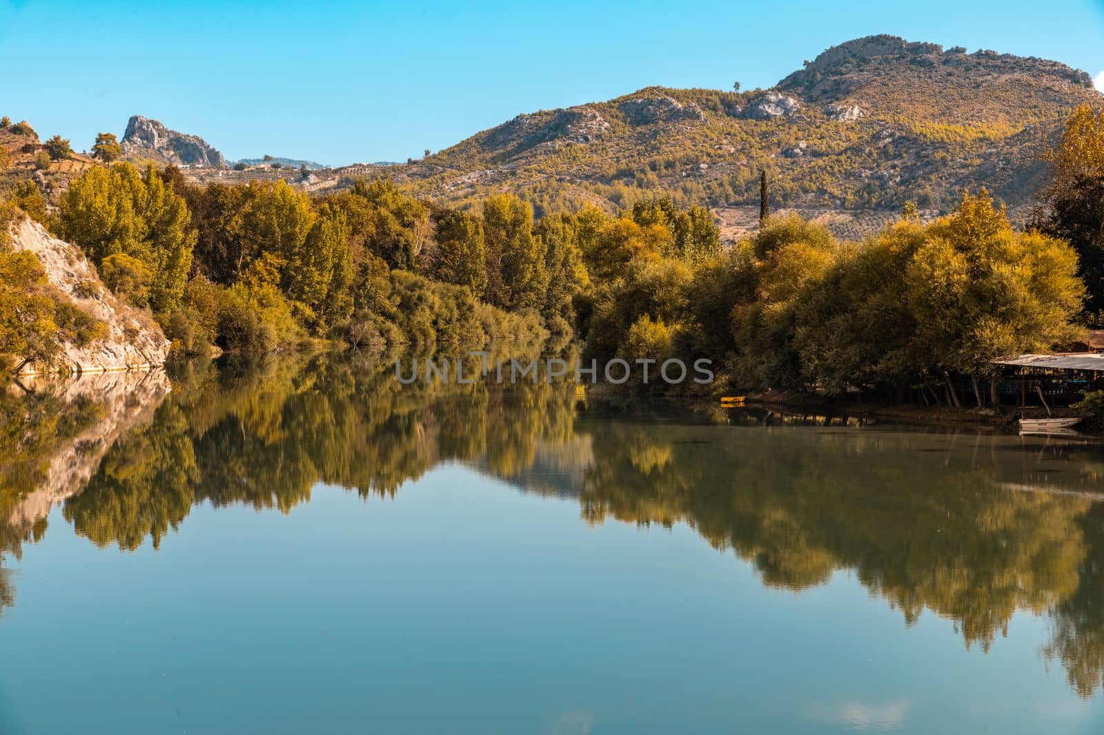 Riverside and forest on a clear day at sunrise in autumn