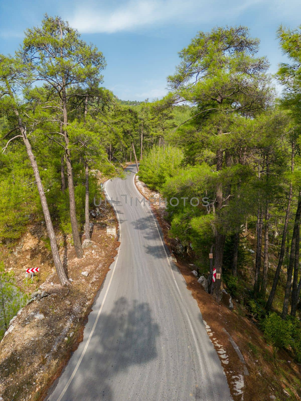 Top down view of road through forest at sunrise by Sonat