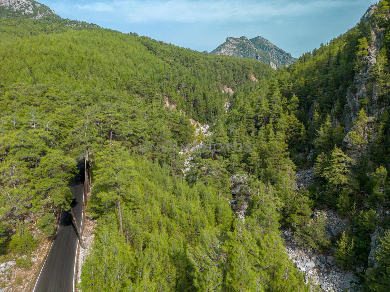 Top down view of road through forest at sunrise