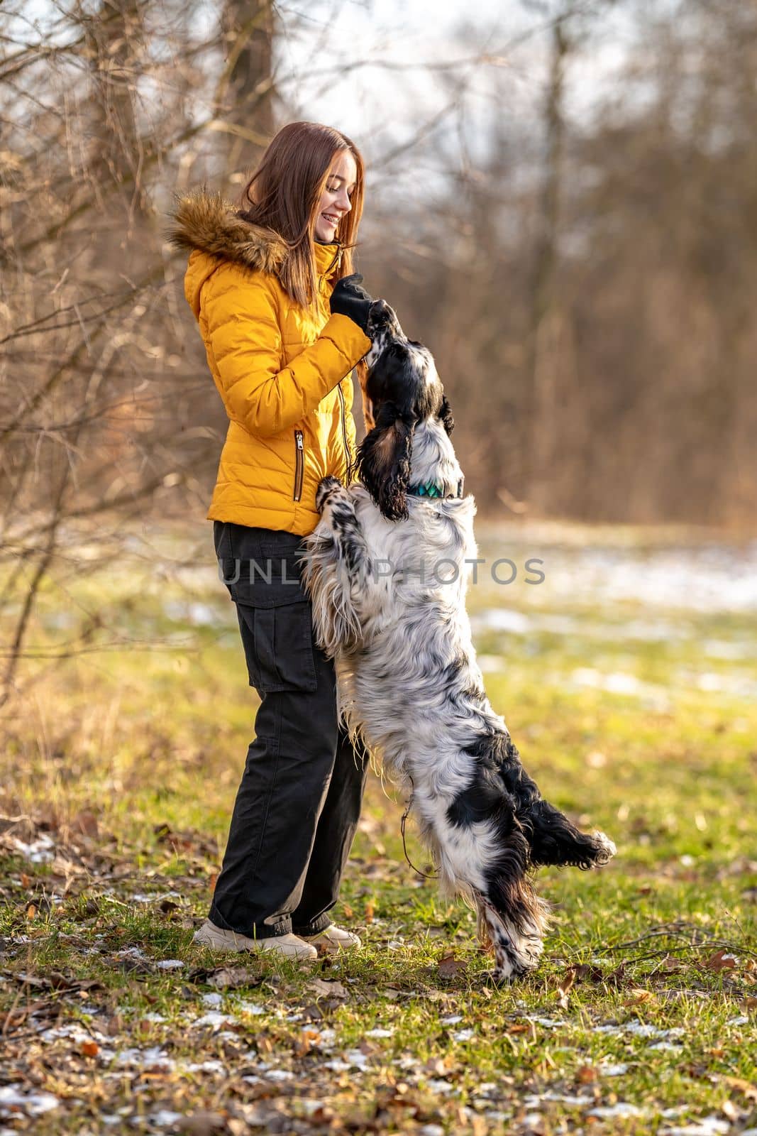 young teenage girl plays with her dog in nature. english setter by Edophoto