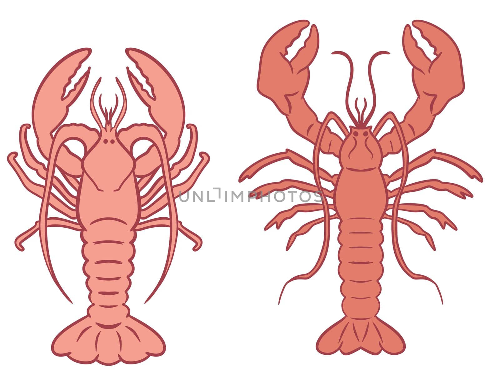 Hand drawn illustration peach orange lobsters on turquoise background. Marine underwater sea food, ocean restaurant cafe menu, aquatic animal creature, nautical print design