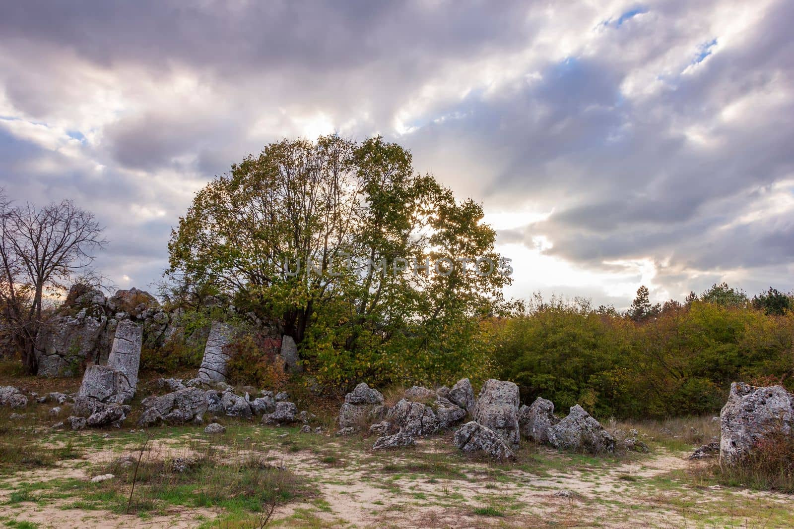 Standing Stones - natural rock formations in Varna Province, Bulgaria.