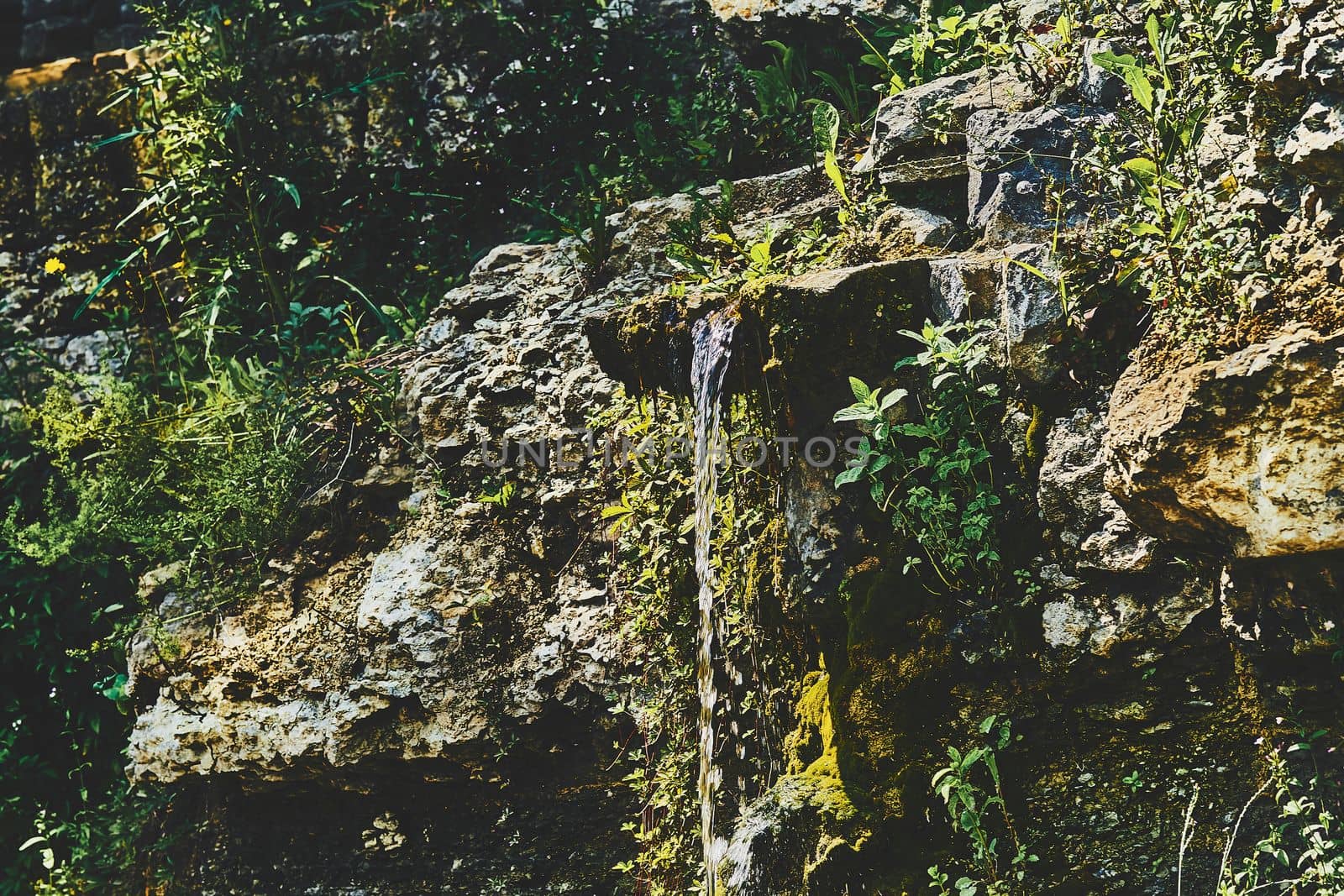 Water source flowing from the depths of the earth, the key. Mountain fresh cool stream spring among rocks and green thickets in sunny day.