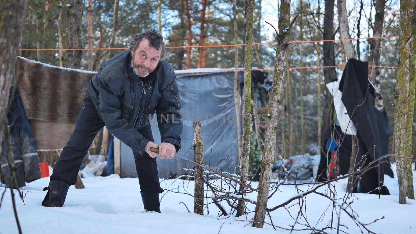 A homeless man is sawing a tree in the woods in front of his cabin