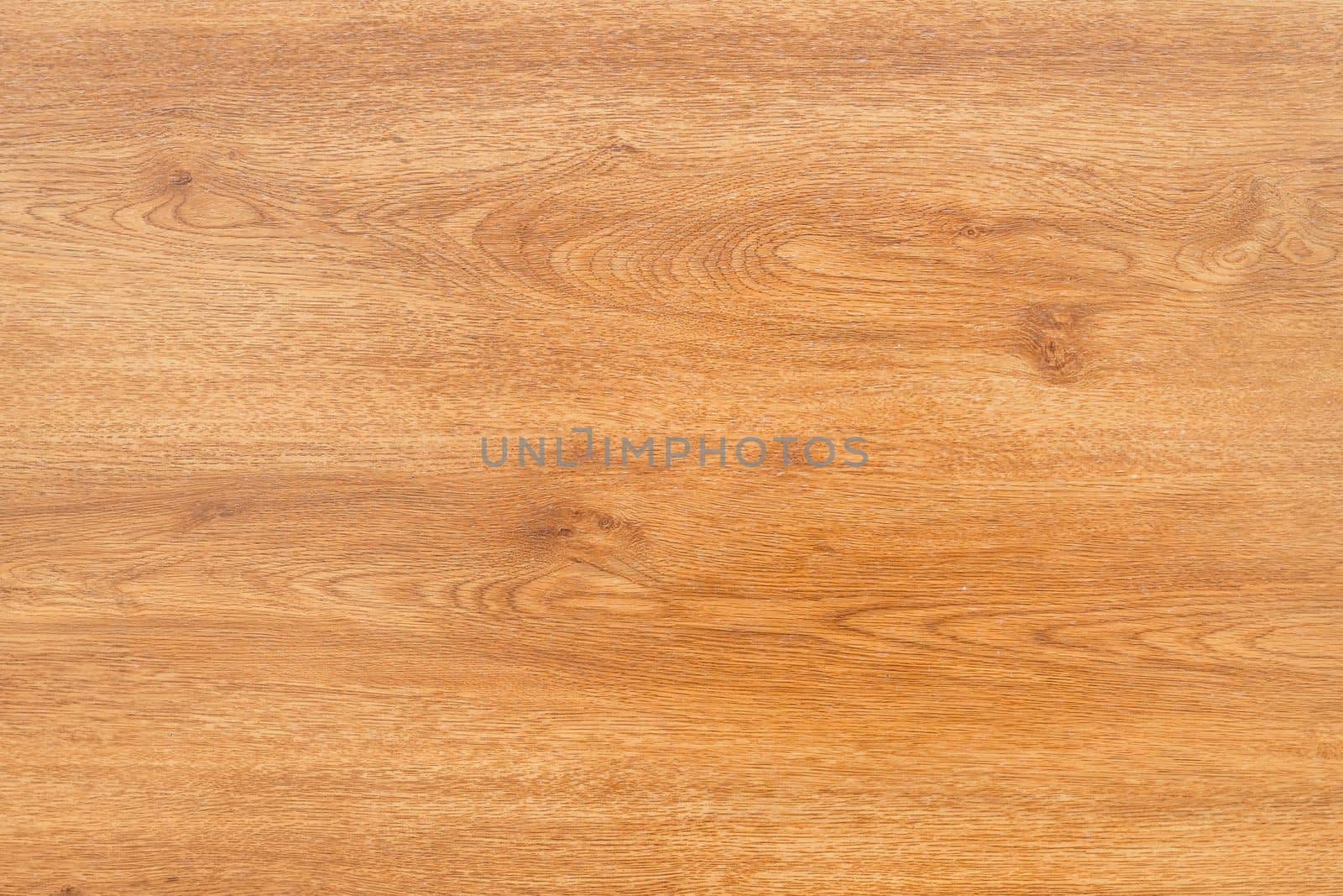 wood texture as wallpaper and background. High quality photo